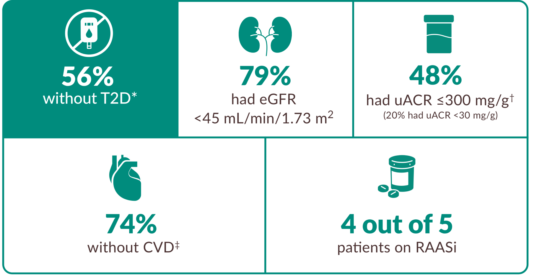Details of patients in the EMPA-KIDNEY trial