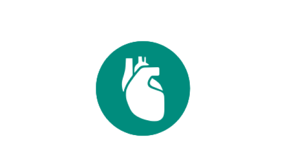 Human Heart Icon