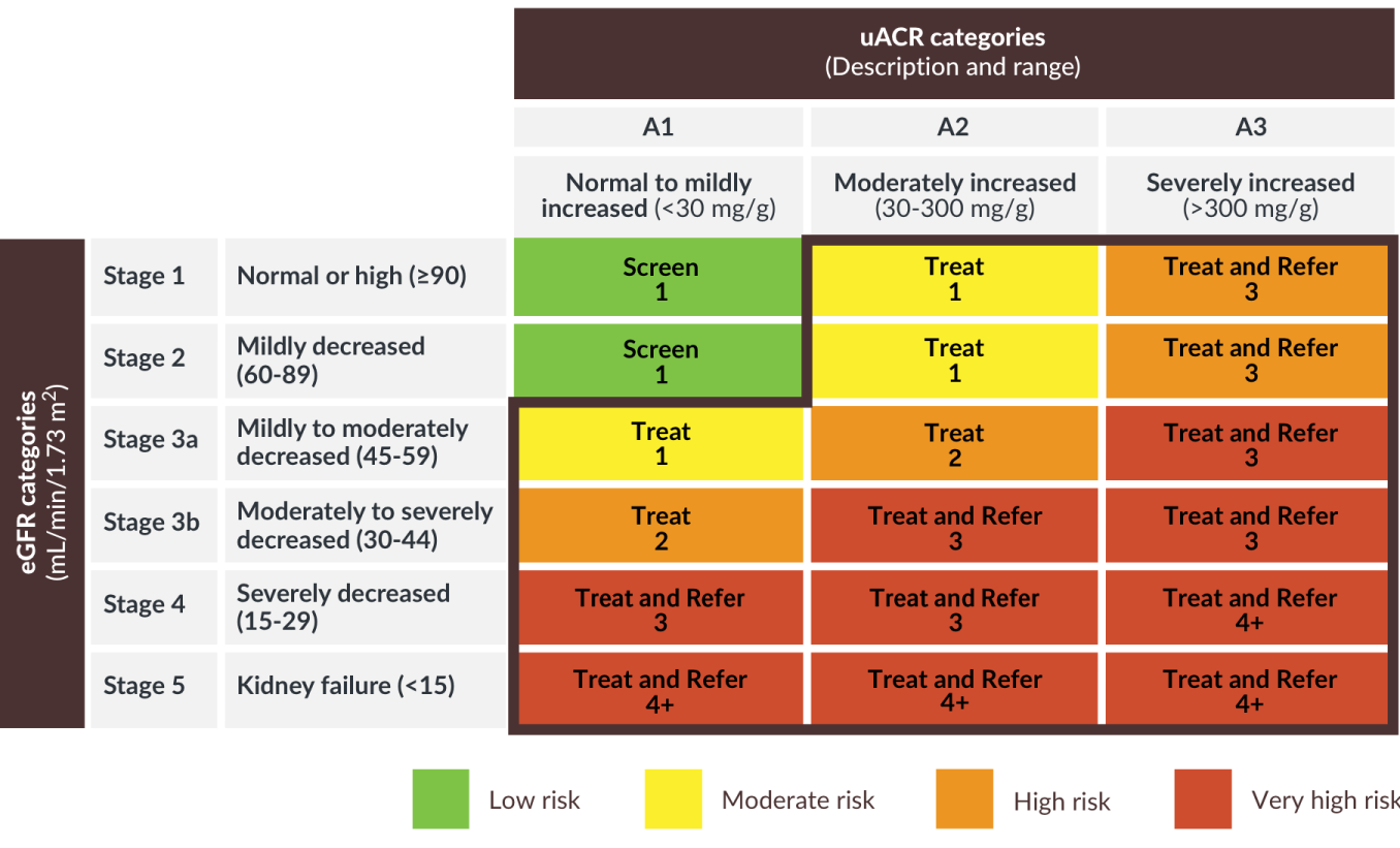 KDIGO Heat Map CKD Diagnosis Table