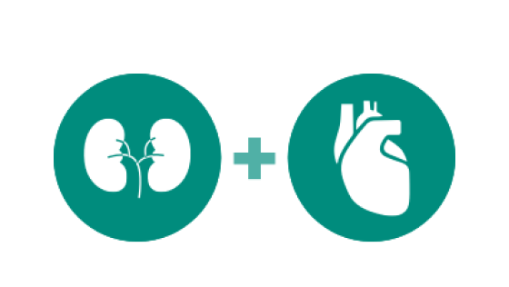 Kidney + Heart Icon