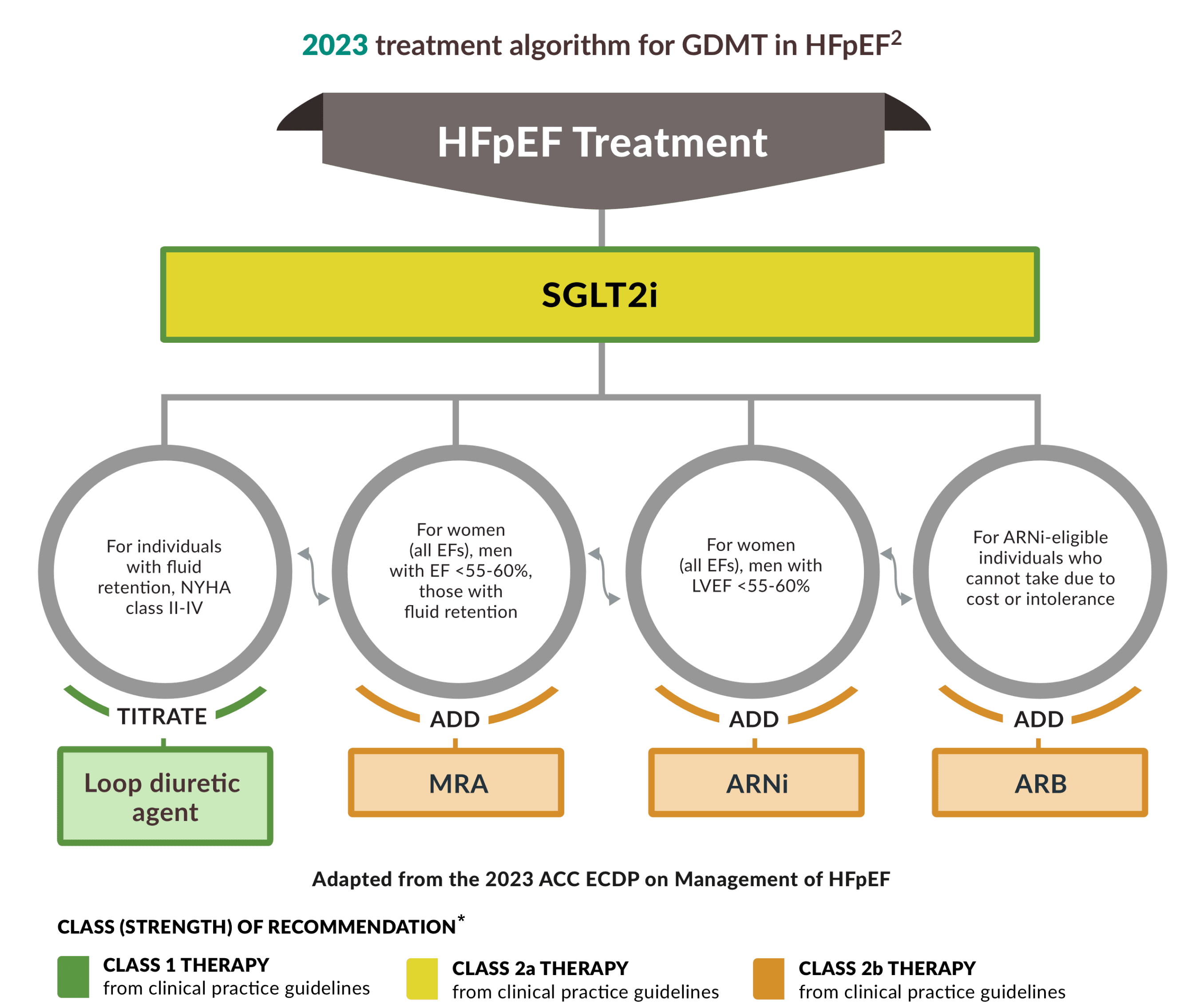 2023 treatment algorithm for GDMT in HFpEF