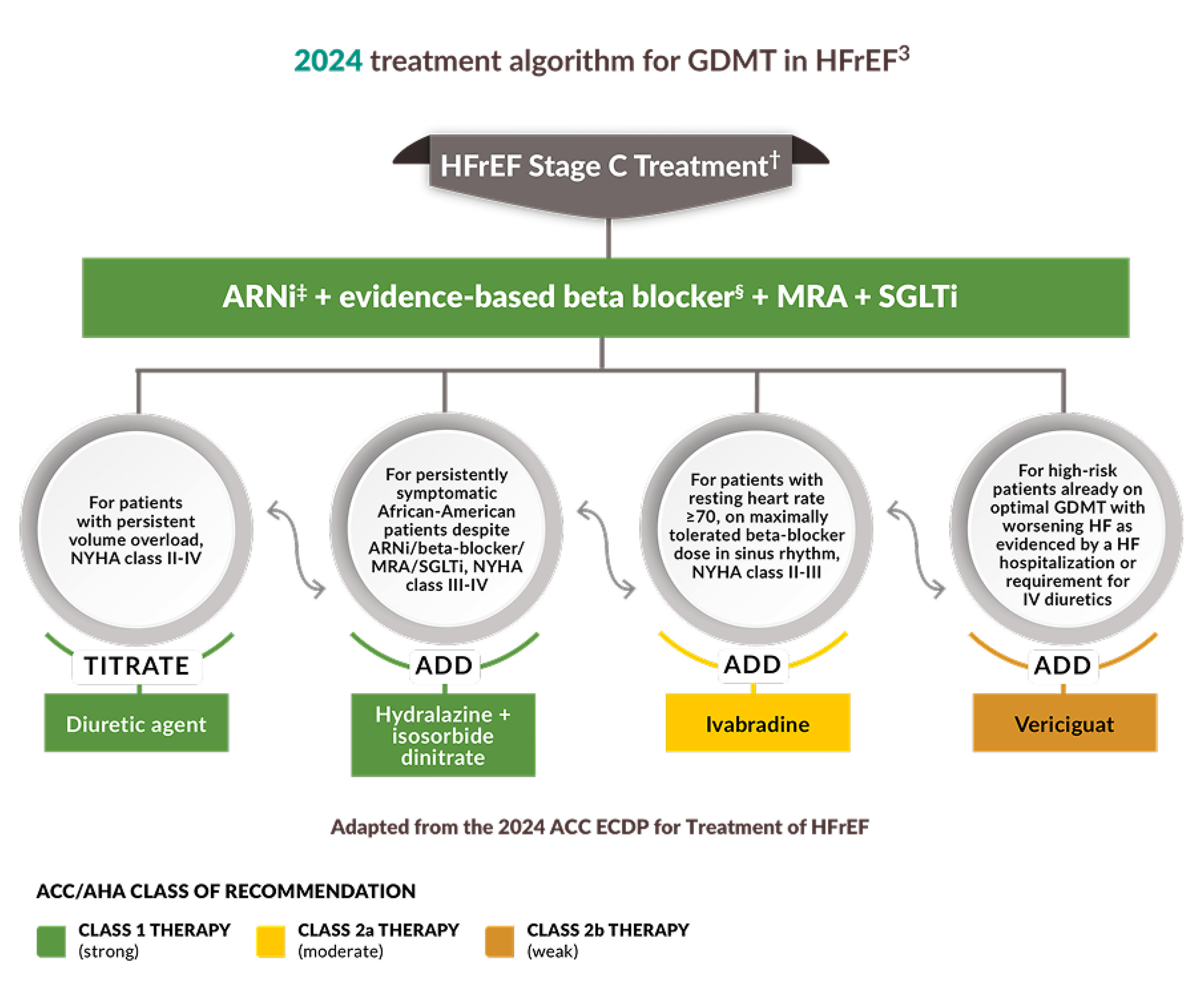 2024 treatment algorithm for GDMT in HFrEF