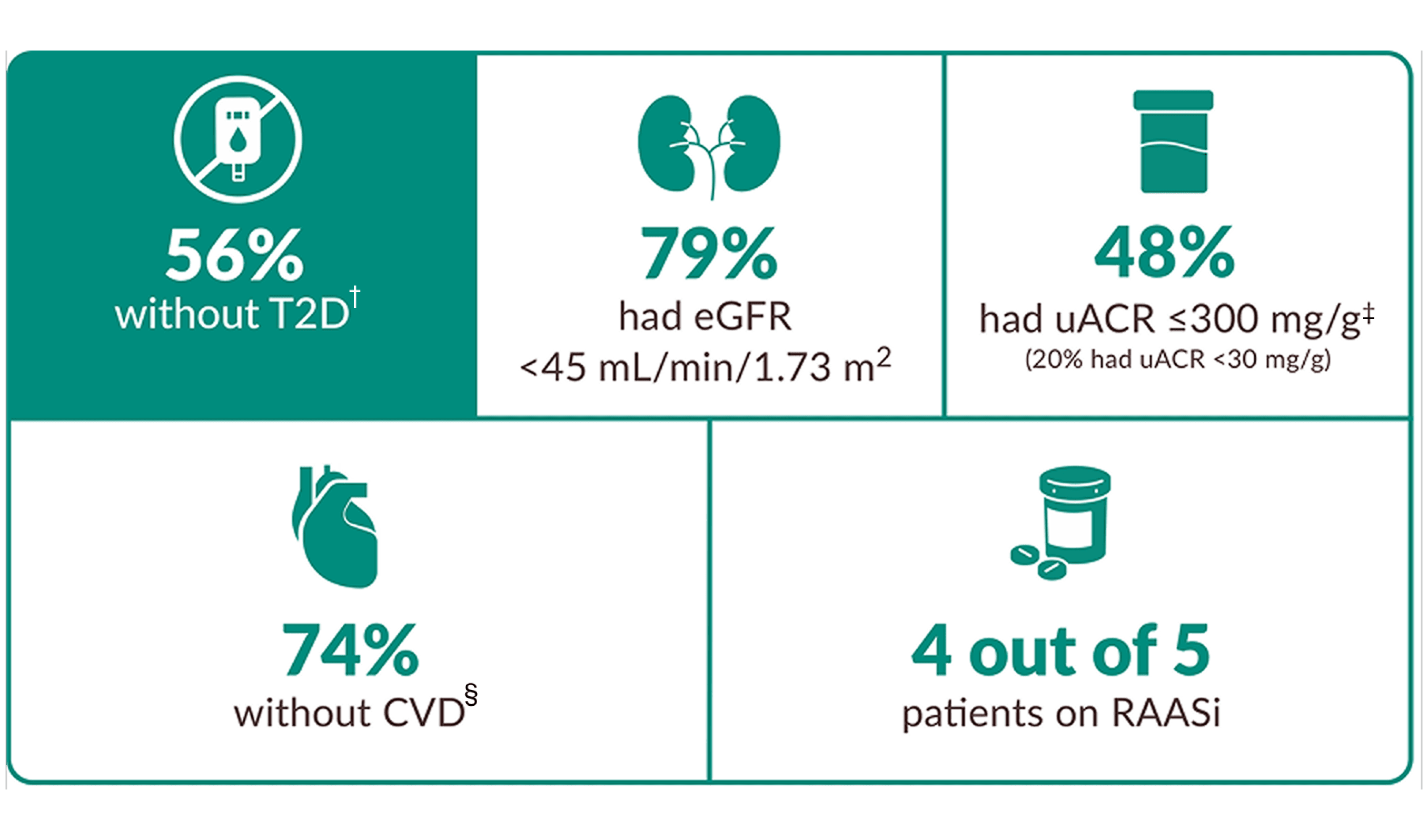 Details of patients in the EMPA-KIDNEY trial