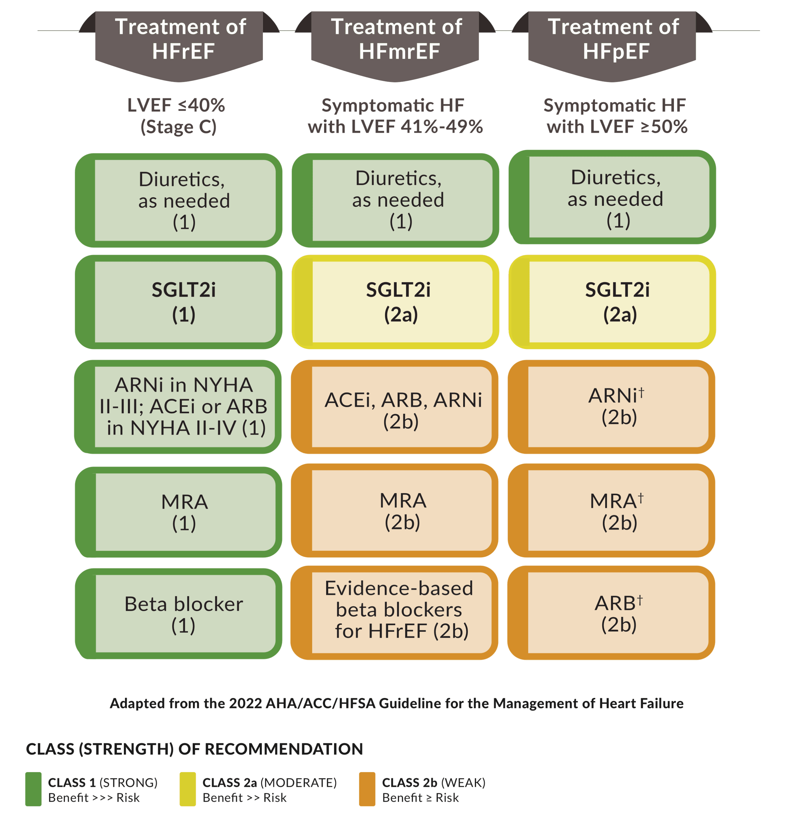 HF Treatment Guideline Chart